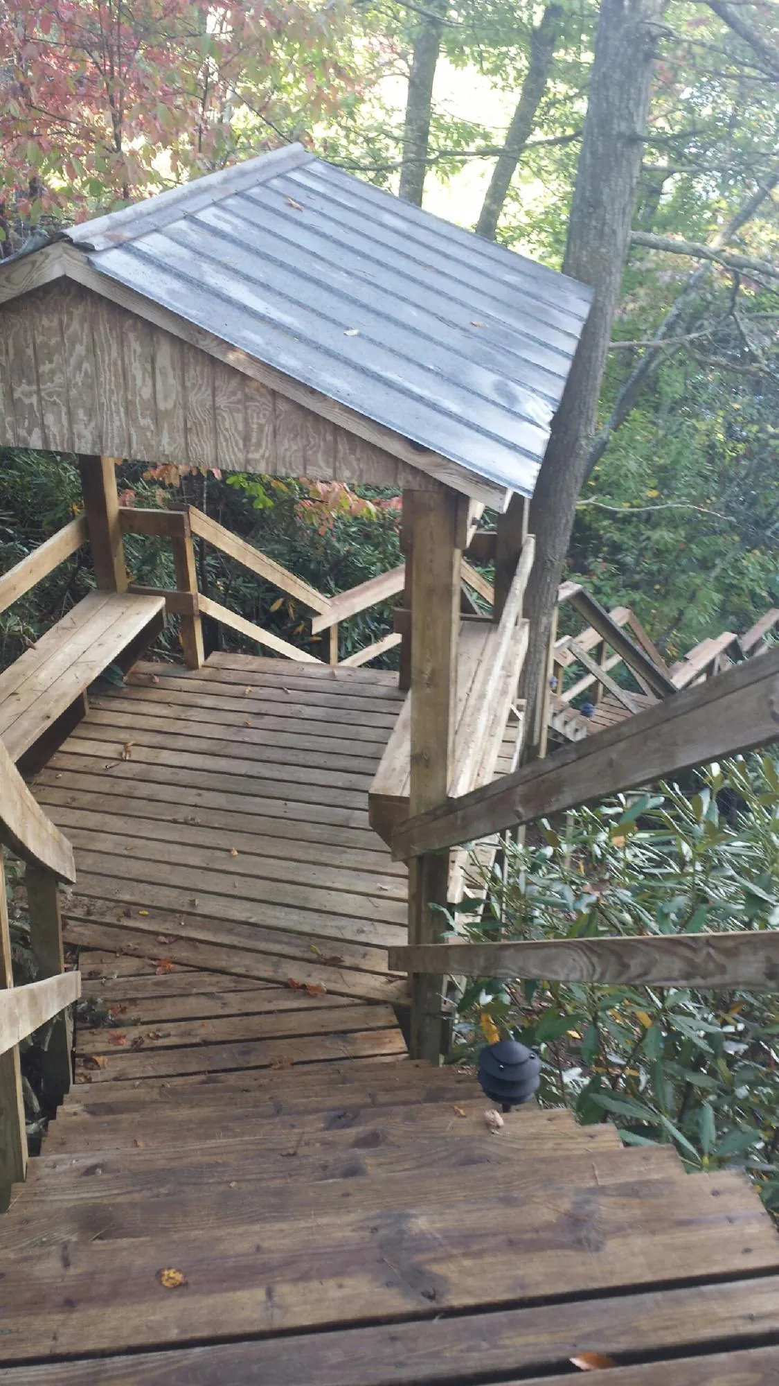 Metal roofed shelter over wooden steps on a wooded walkway — Skylight Repair & Installation work by our crew in Bartow